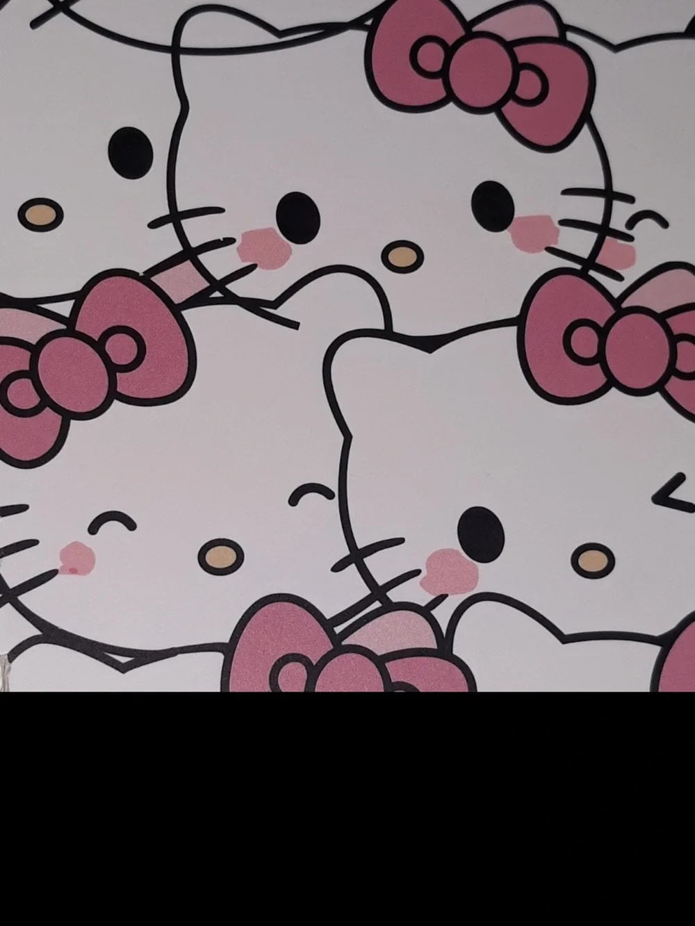HELLO KITTY Spiral Notebook Adult Kids NEW